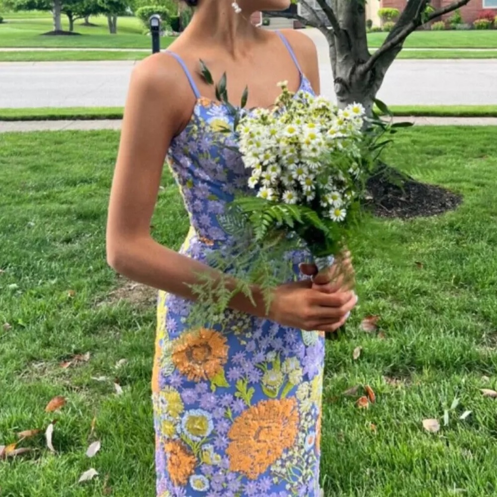 Dress the Population Prom Dress; Mermaid Style Size XSmall; Worn Once